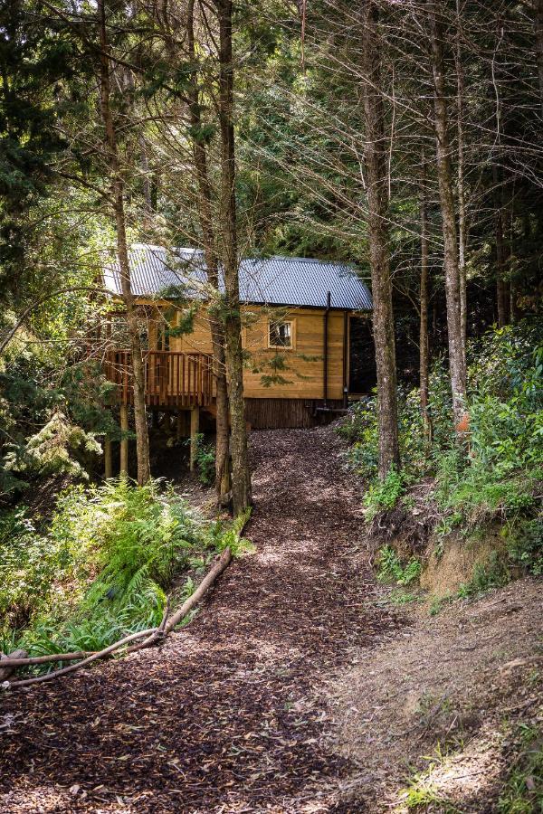 Maitai Whare Iti - Adventure Cabins & House Nelson Eksteriør bilde
