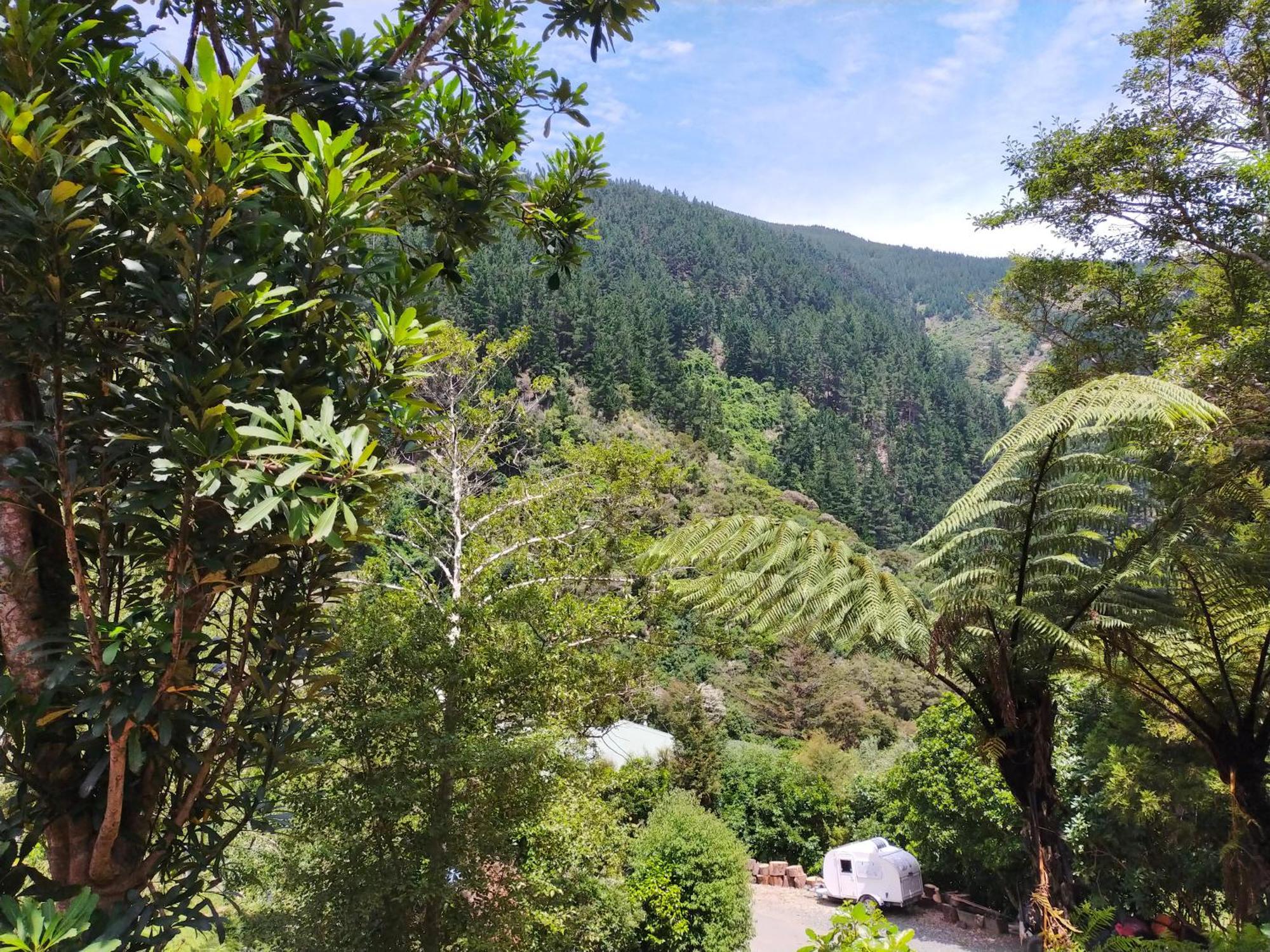Maitai Whare Iti - Adventure Cabins & House Nelson Eksteriør bilde